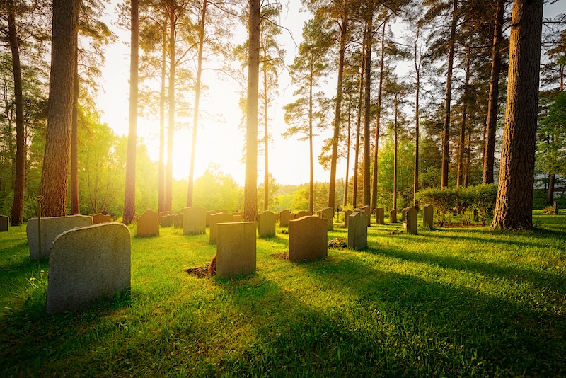 Graveyard in sunset with warm light and feeling and shadows falling from trees and headstones
